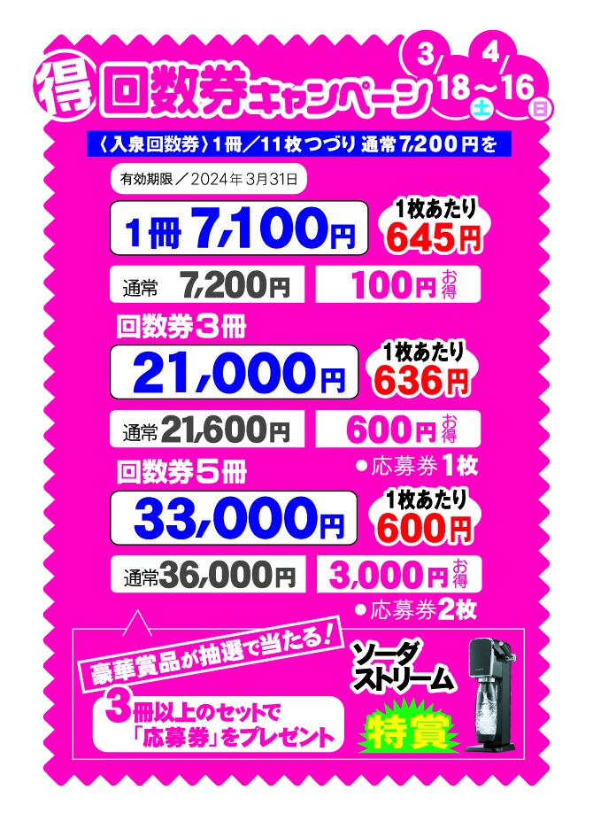 愛知県 長久手温泉 ござらっせ 11枚綴 回数券 2冊 - その他